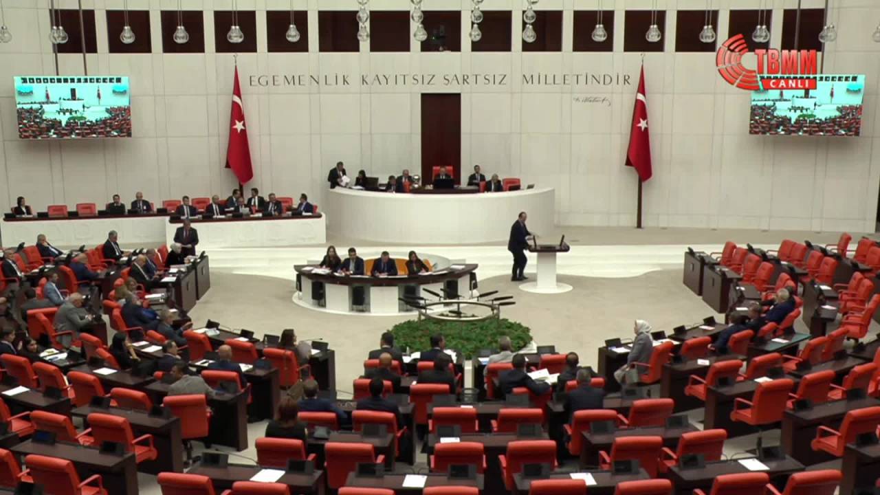 Tbmm Genel Kurulu… Chp’li Gülcan Kış:
