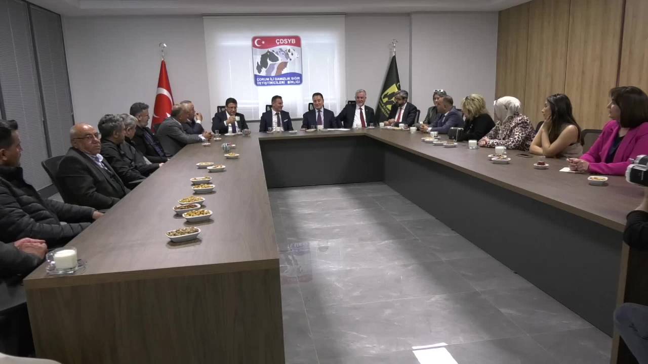 Deva Partisi Genel Başkanı Babacan: "Maalesef Yargı, Şu Anda İktidar Tarafından Bir Sopa Olarak Kullanıyor"