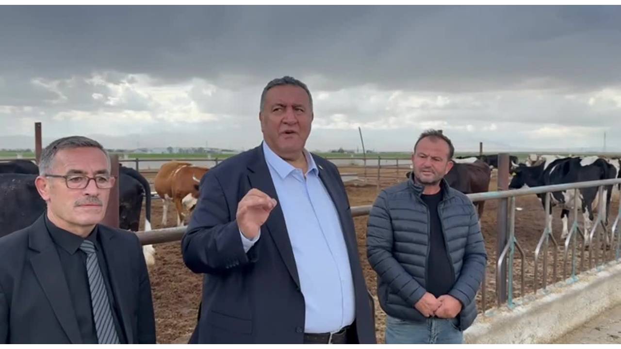 Chp’li Gürer: “Fransa, Bizim Süt İneğimizin Yarısına Sahip Ama Bizim Ürettiğimizden Fazla Süt Üretiyor”