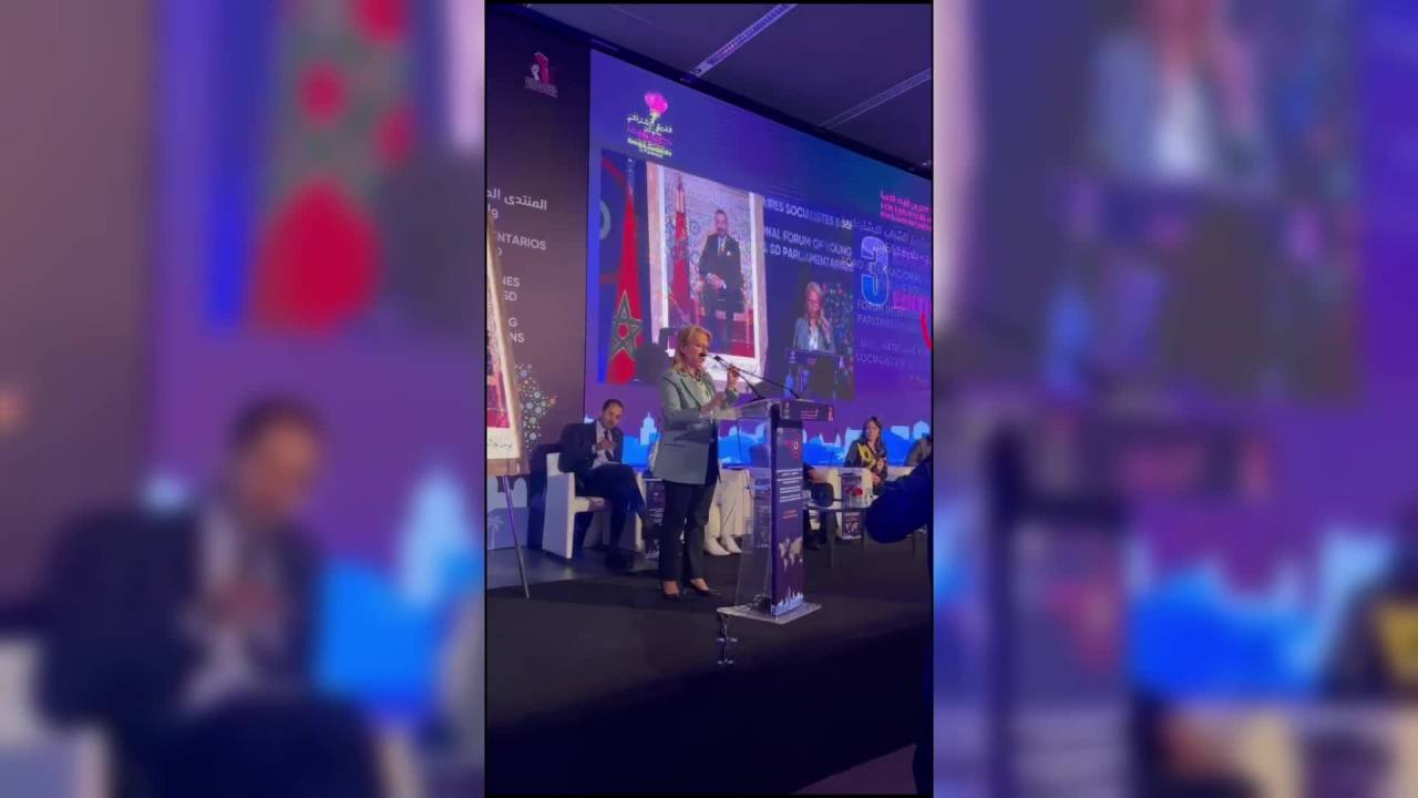 Chp Heyeti Marakeş'te... Süreyya Öneş Derici: Türkiye’nin Demokrasisi Son Dönemde Tehlikededir