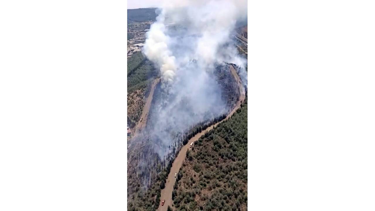 İzmir'de Orman Yangını (1)