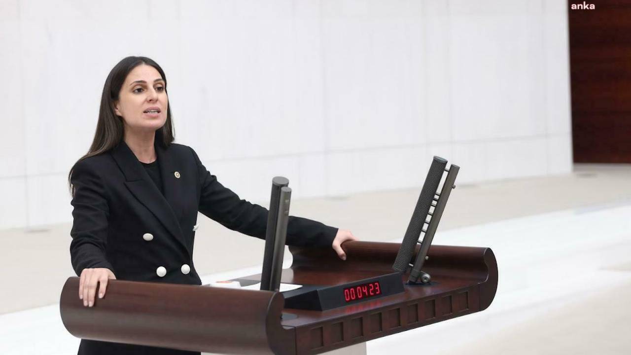 Chp'li Özcan, Akköprü Hes’in Özelleştirilmesini Tbmm Gündemine Taşıdı
