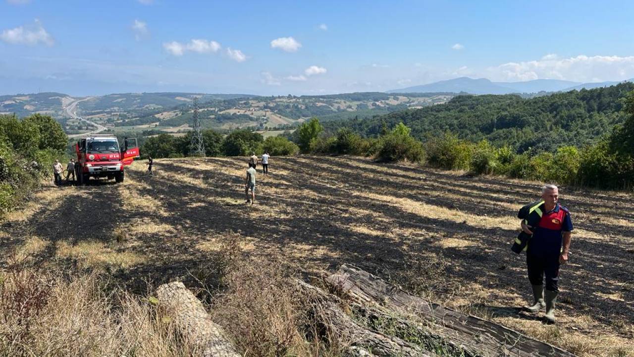 Akıma Kapılan Karga, Anız Yangınına Neden Oldu