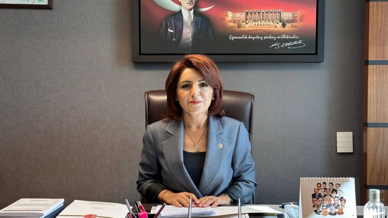 Chp'li Kış, Tekstil Sektörünün Sorunlarını Meclis'e Taşıdı
