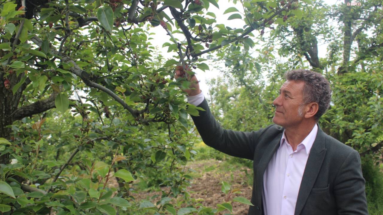 Chp’li Orhan Sarıbal: “Don Felaketinin Maliyeti 21,5 Milyar Tl, Çiftçiye Sadece 1,1 Milyar Tl Ödendi”