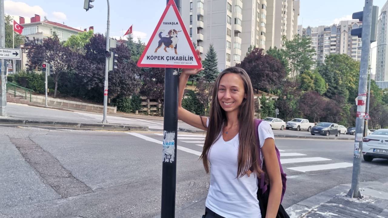 Hayvanseverlerden Can Dostları İçin 'yavaşla' Tabelaları