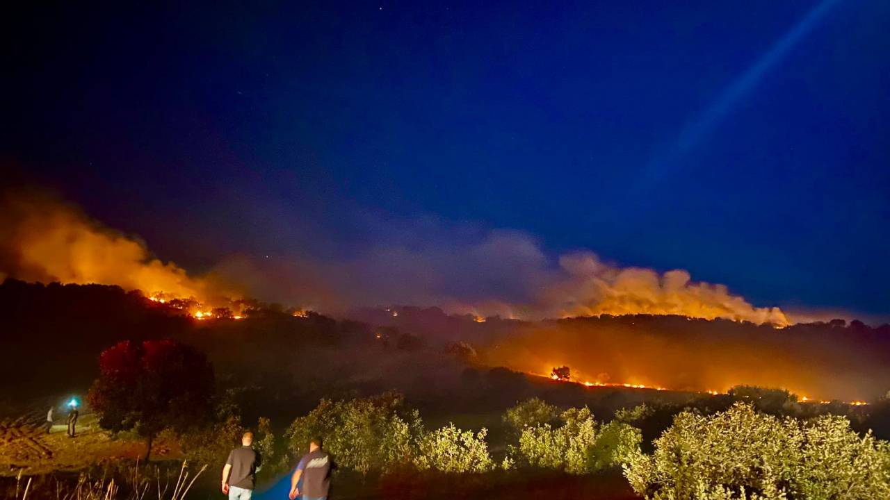 Diyarbakır'da 3 Ayrı Noktadaki Orman Yangını 3 Saatte Söndürüldü