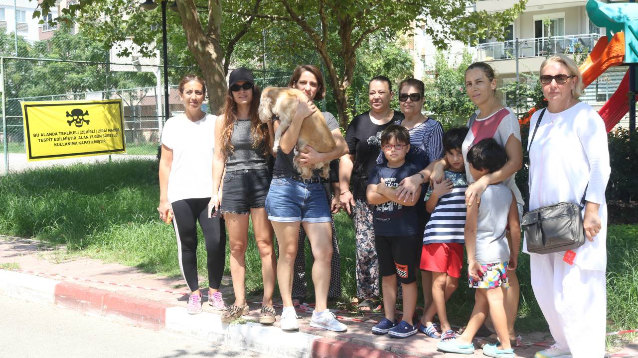 1 Haftada 8 Köpek Öldü, 2 Parkta Zehirli Tarımsal Madde Tespit Edildi