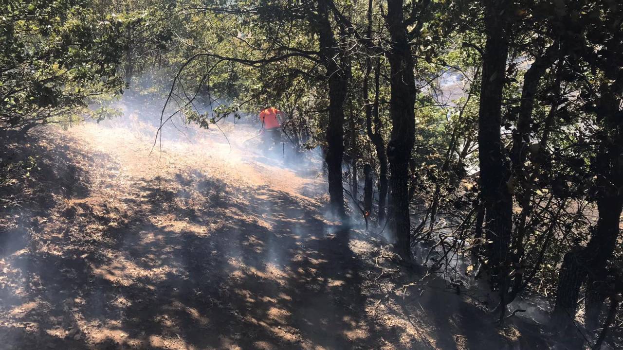 Bingöl'de Orman Yangını Büyümeden Söndürüldü