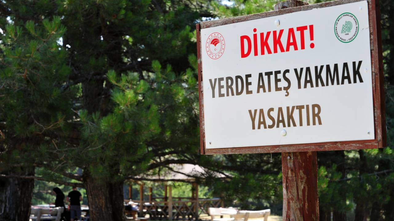 Mangal Yasağı Piknikçileri Küstürdü Ama Yaban Hayatı Canlandı