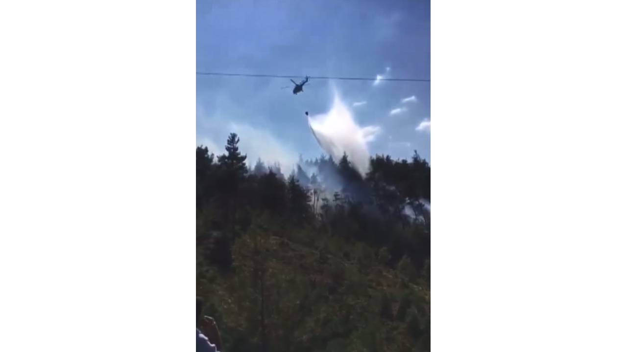 Bursa'da Orman Yangını