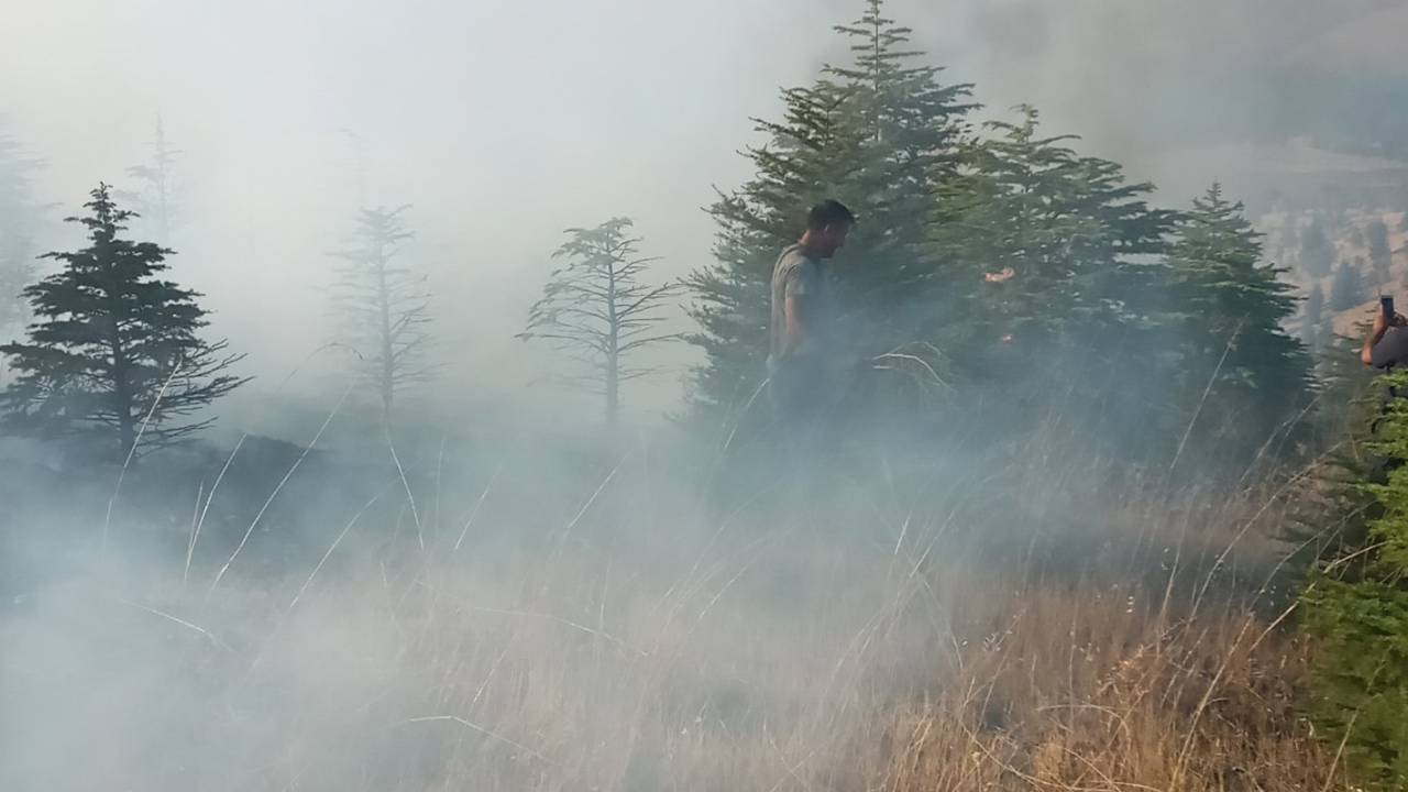 Elazığ’daki Orman Yangınında 20 Dönüm Alan Zarar Gördü