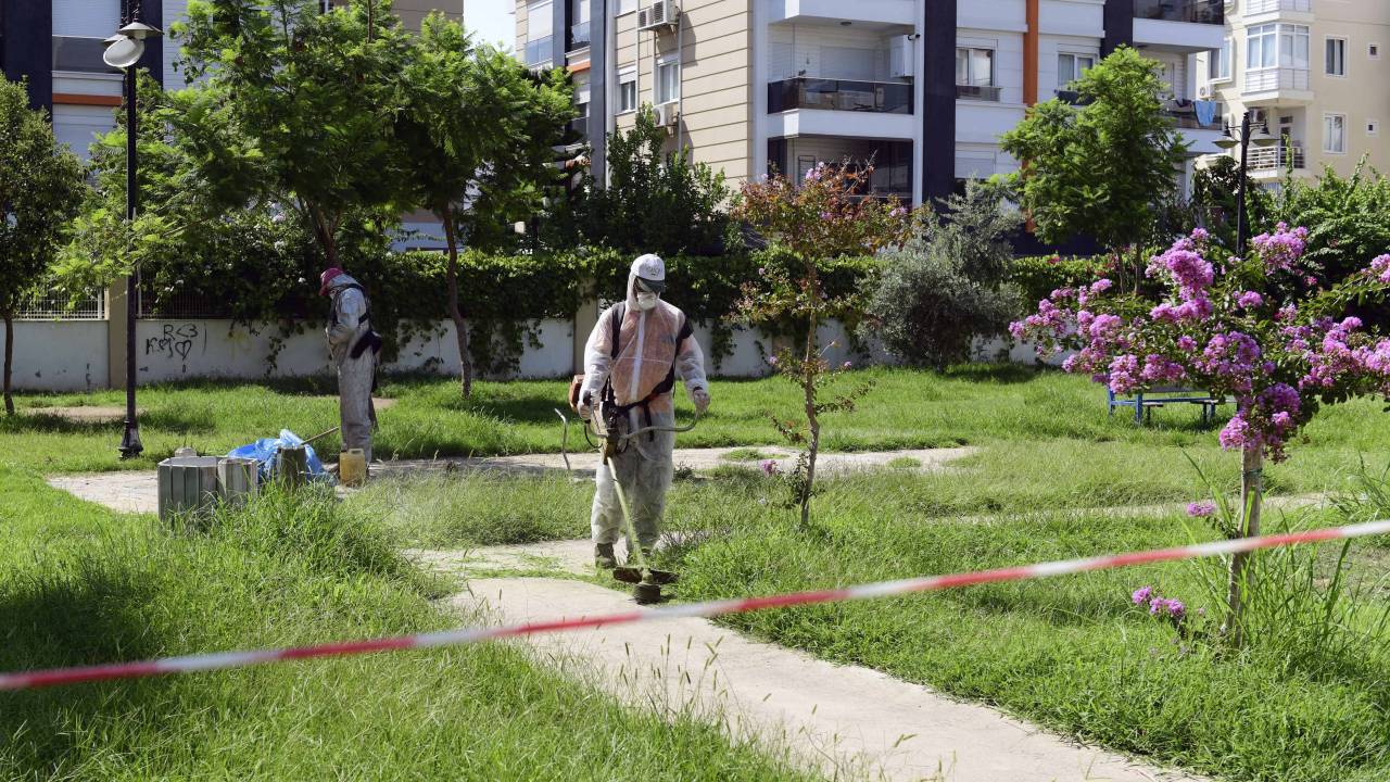 Antalya'da Köpek Ölümlerine Yenileri Eklendi (2)
