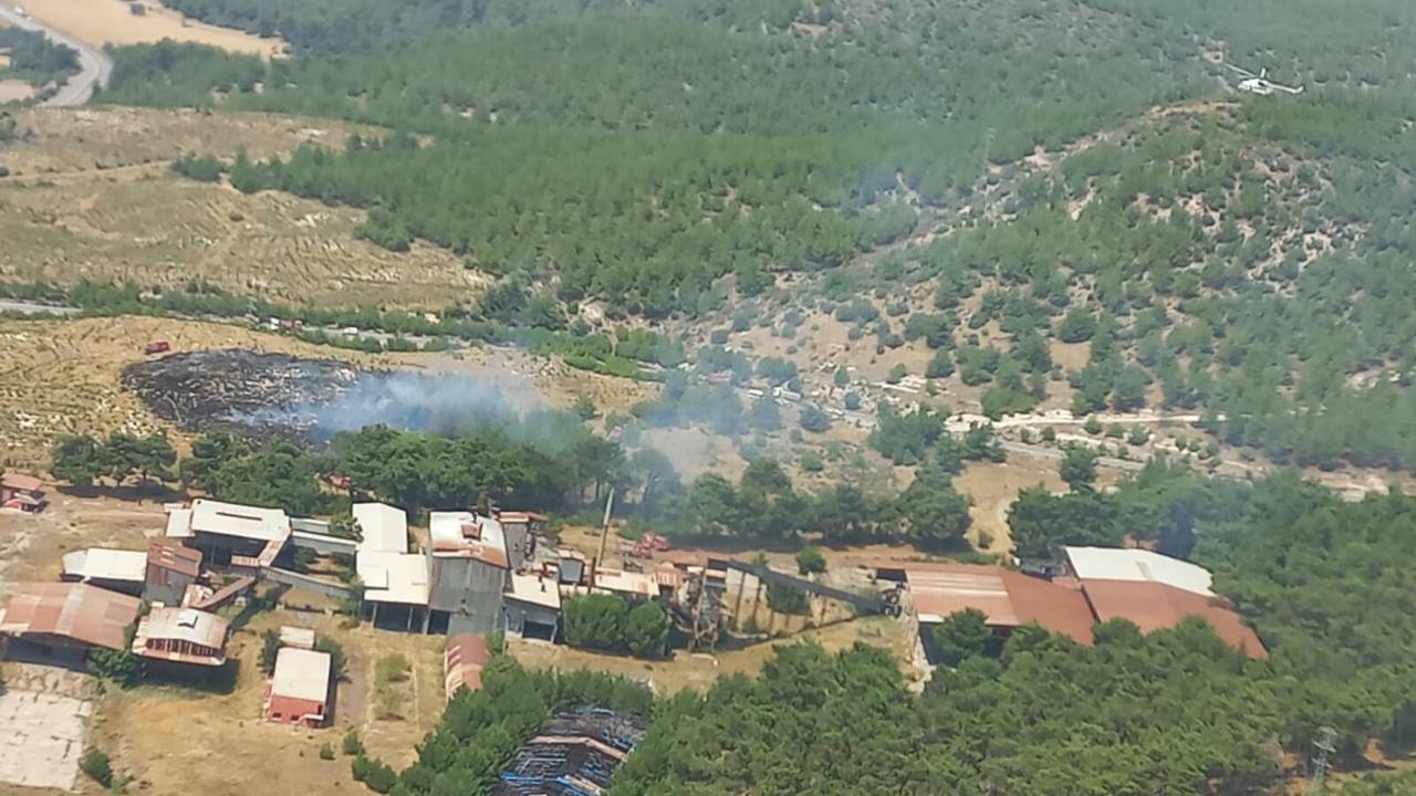 Manisa'da Orman Yangını; 5 Dönüm Alan Zarar Gördü