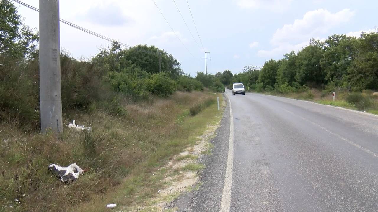 Silivri'de Onlarca Leylek Öldü, Mahalleli Tepki Gösterdi: 'elektrikten Dolayı Ölüyorlar'