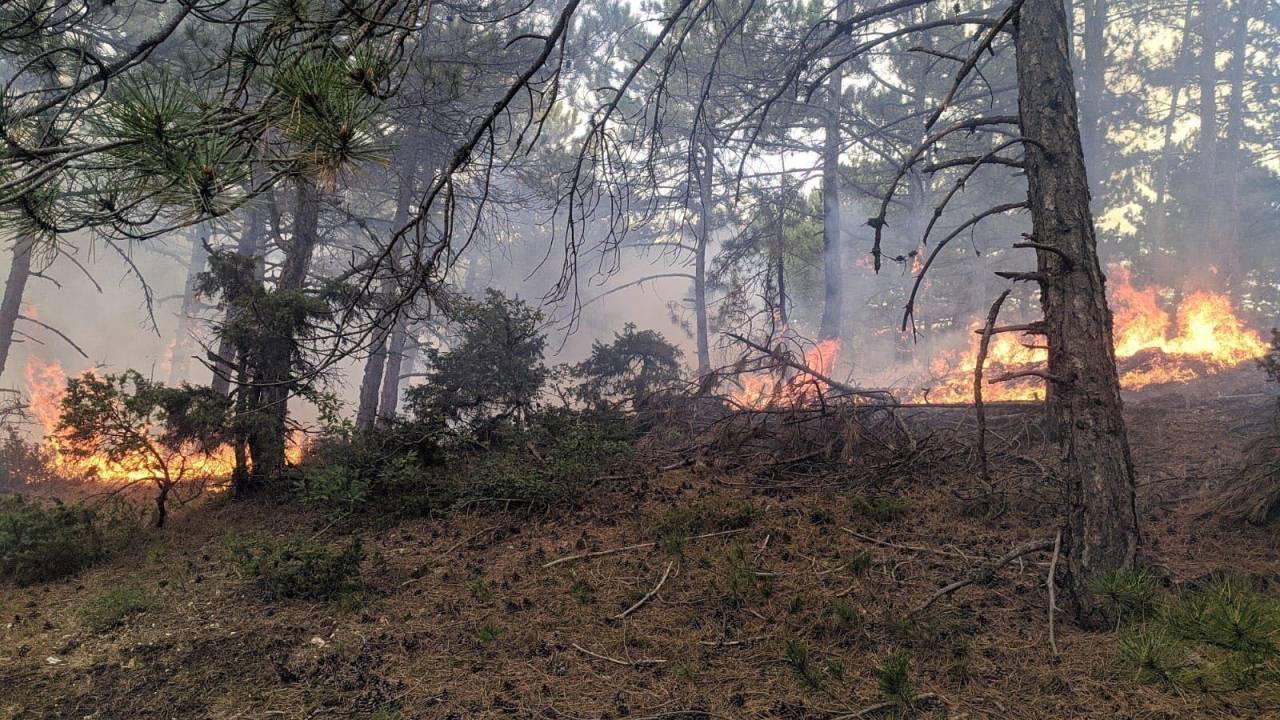 Eskişehir'de, Yıldırım İsabet Eden Ormanda Yangın