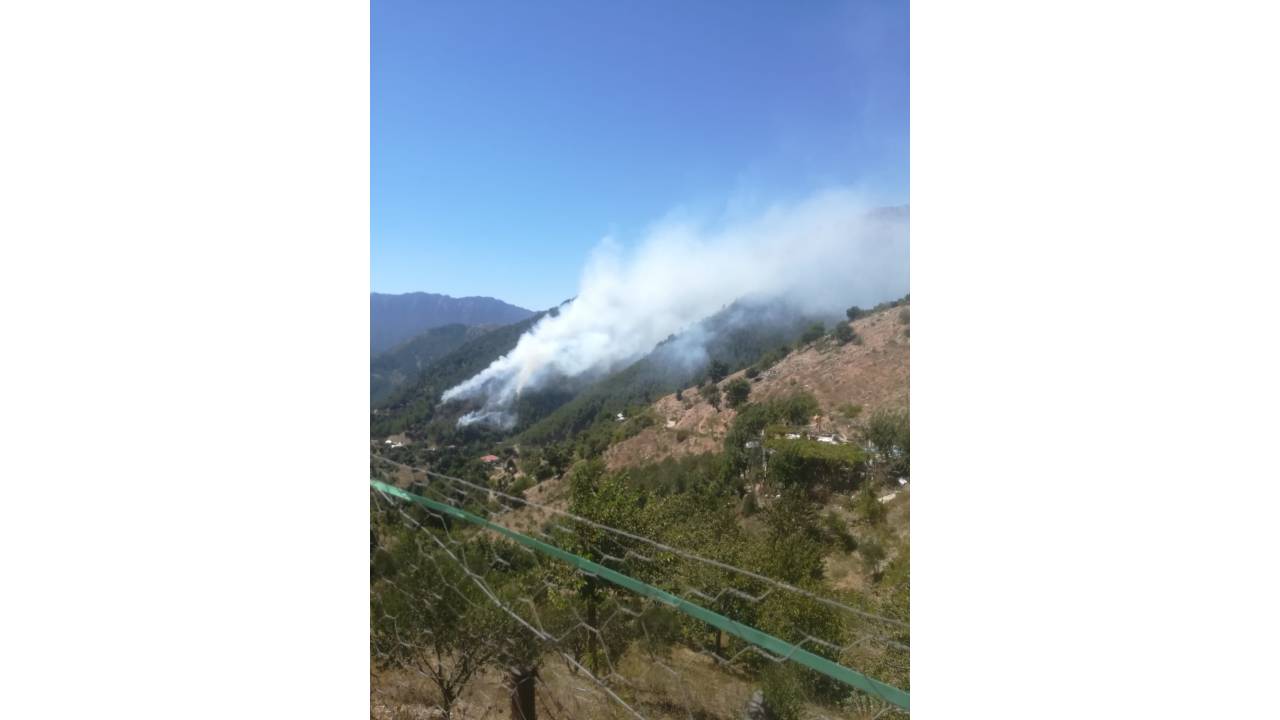 Kahramanmaraş'ta Orman Yangını (1)