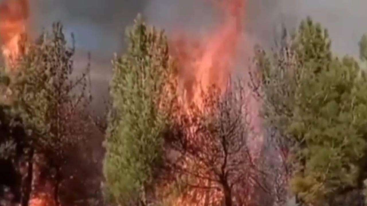 Kahramanmaraş'ta Orman Yangını (2)