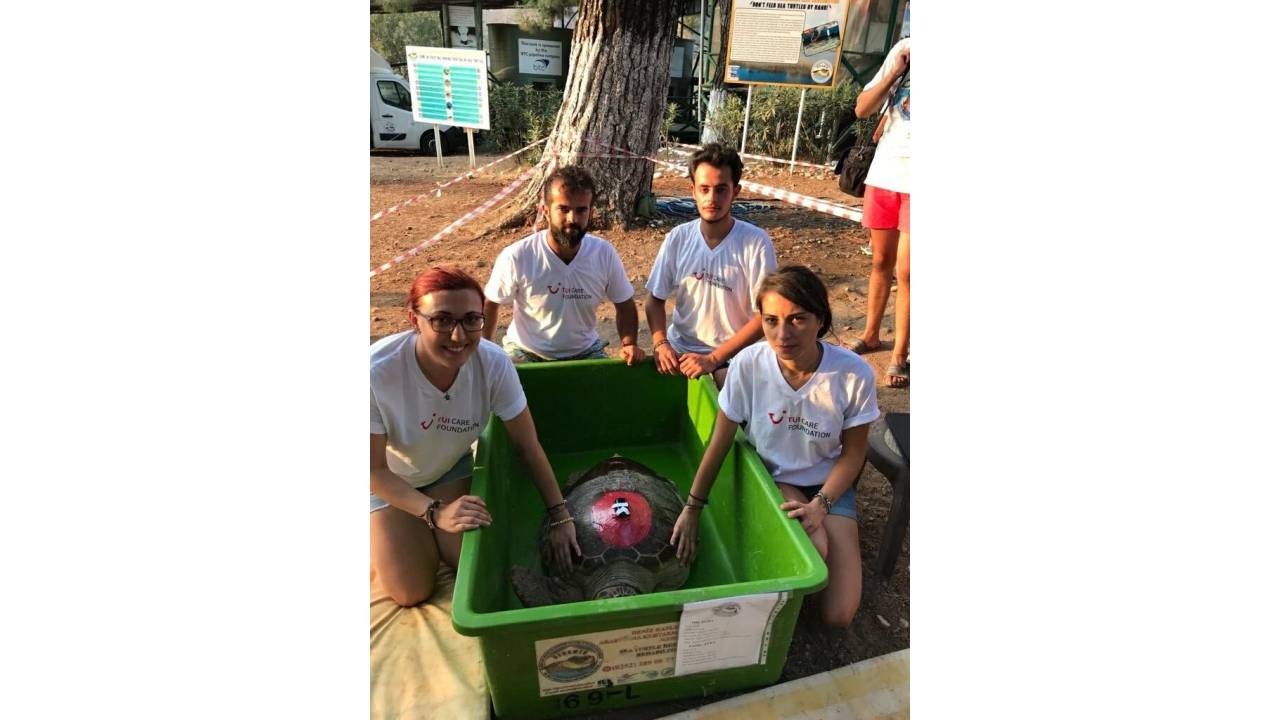 Caretta Caretta 'tuba' 17 Bin 500 Kilometre Katetti, 7 Milyondan Fazla İzlendi