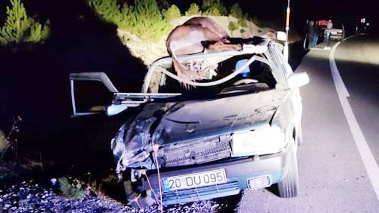 Otomobilin Çarptığı Eşek İle Araçtaki Sürücünün Babası Öldü