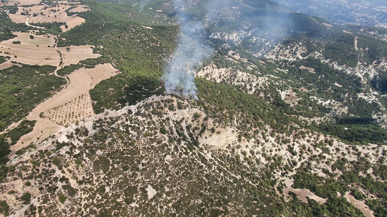 Manisa'da 10 Dönüm Orman Yandı