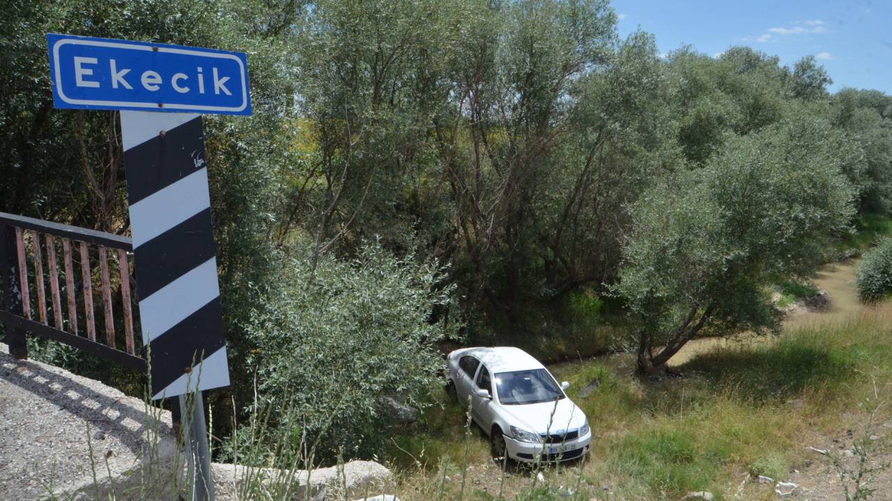 Sürücüsünü Arı Sokan Otomobil Şarampole Düştü: 4 Yaralı