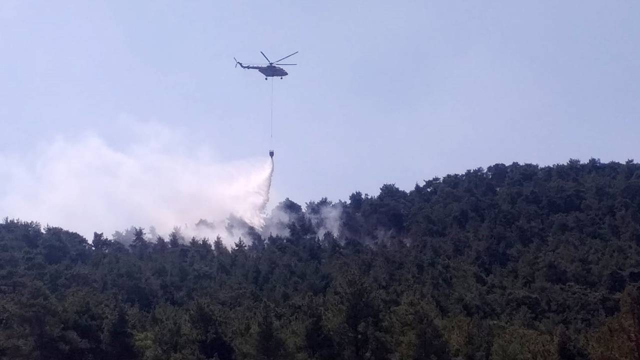 Düşen Yıldırım Yangına Neden Oldu; 2 Hektar Orman Zarar Gördü