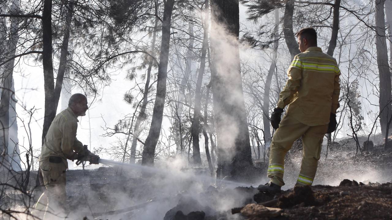 Tütsü Yapan Arıcı Ormanı Yaktı (2)- Yeniden