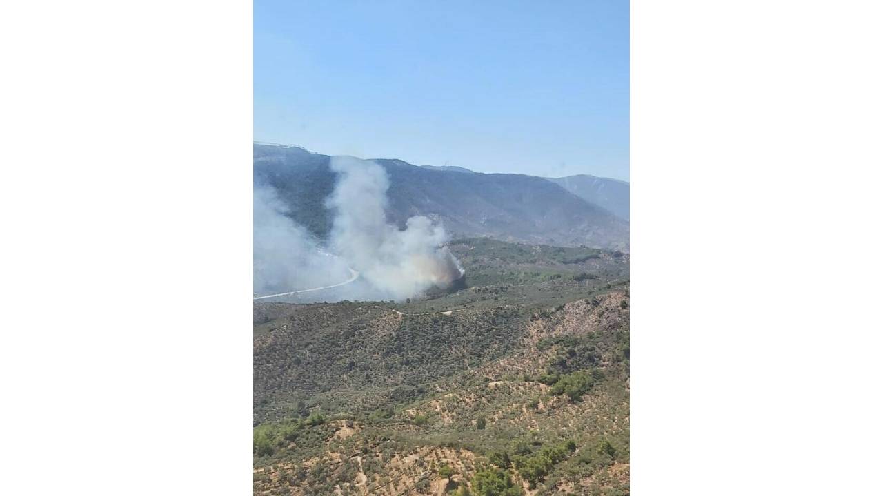 Milas'ta Zeytinlik Yangını, Makiliğe Sıçradı; 2 Hektar Alan Yandı
