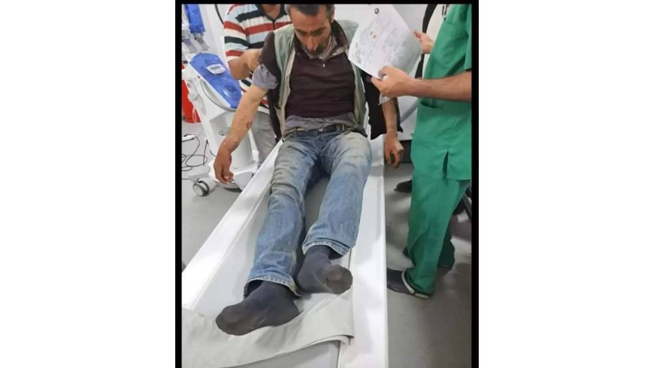 Yaylada Ayı Saldırısına Uğrayan Çoban Yaralandı