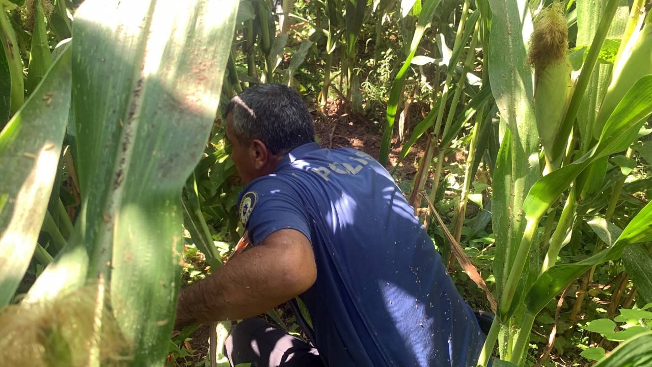 Sağlık Raporuna Götürülürken Kaçan Şüpheliyi Takip Eden Polis Memuru, Kazara Kendini Vurdu