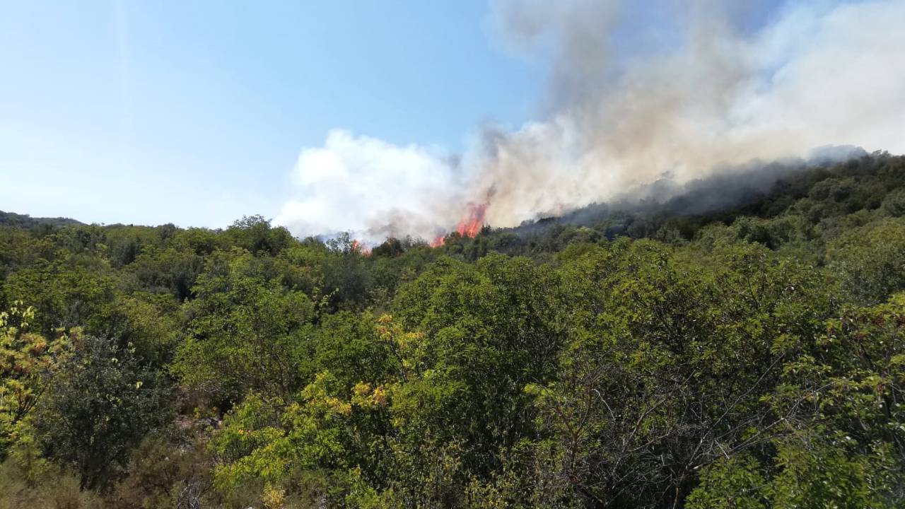 Demre'de Orman Yangını
