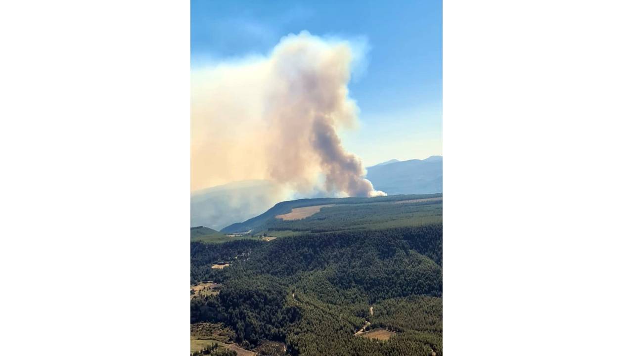 Denizli'de Orman Yangını (1)