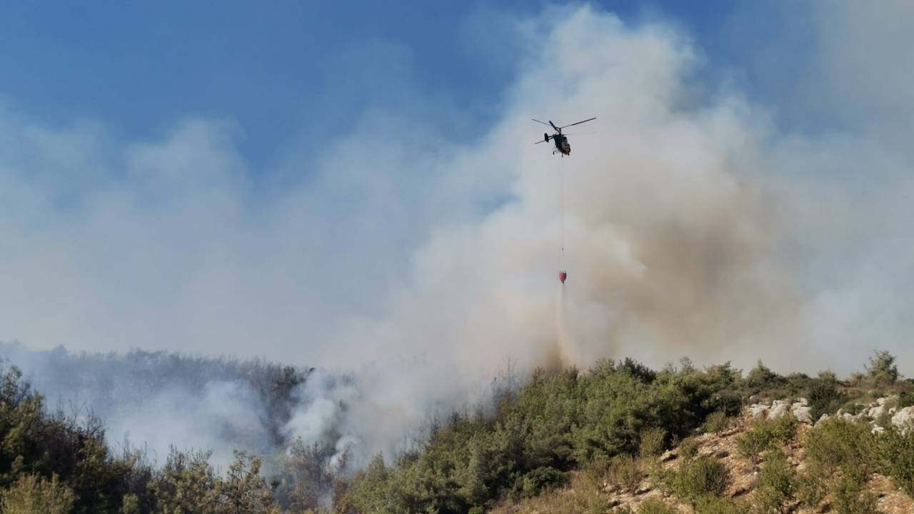 Mersin'de Orman Yangını (2)- Yeniden
