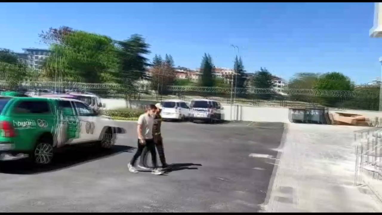 Zeytinburnu'nda Sokak Kedisini Öldüren Pitbullun Sahibine 14 Bin 982 Lira Ceza Verildi