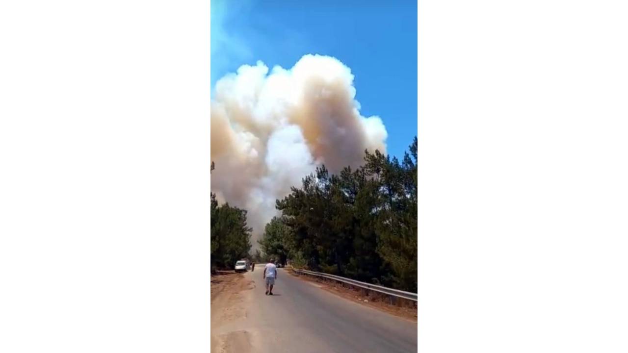 Datça’da Orman Yangını