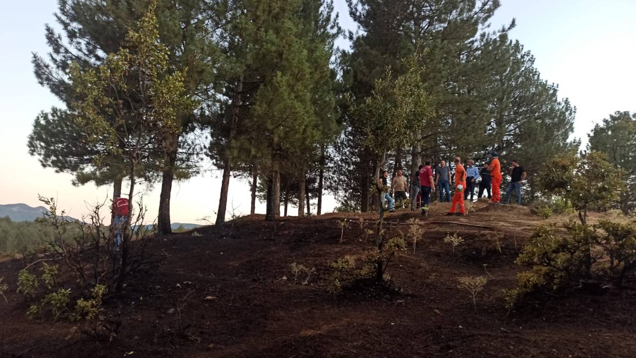 Bingöl'de Orman Yangını Büyümeden Kontrol Altına Alındı