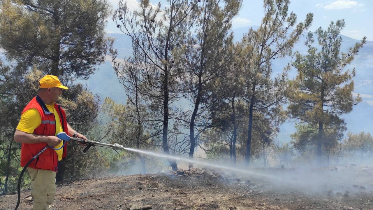 Manisa'da Orman Yangını; 2 Hektardaki Kızılçam Yandı