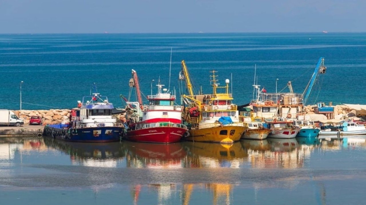 Didimli balıkçılar Taşburun balıkçı barınağı’ndan atılıyor