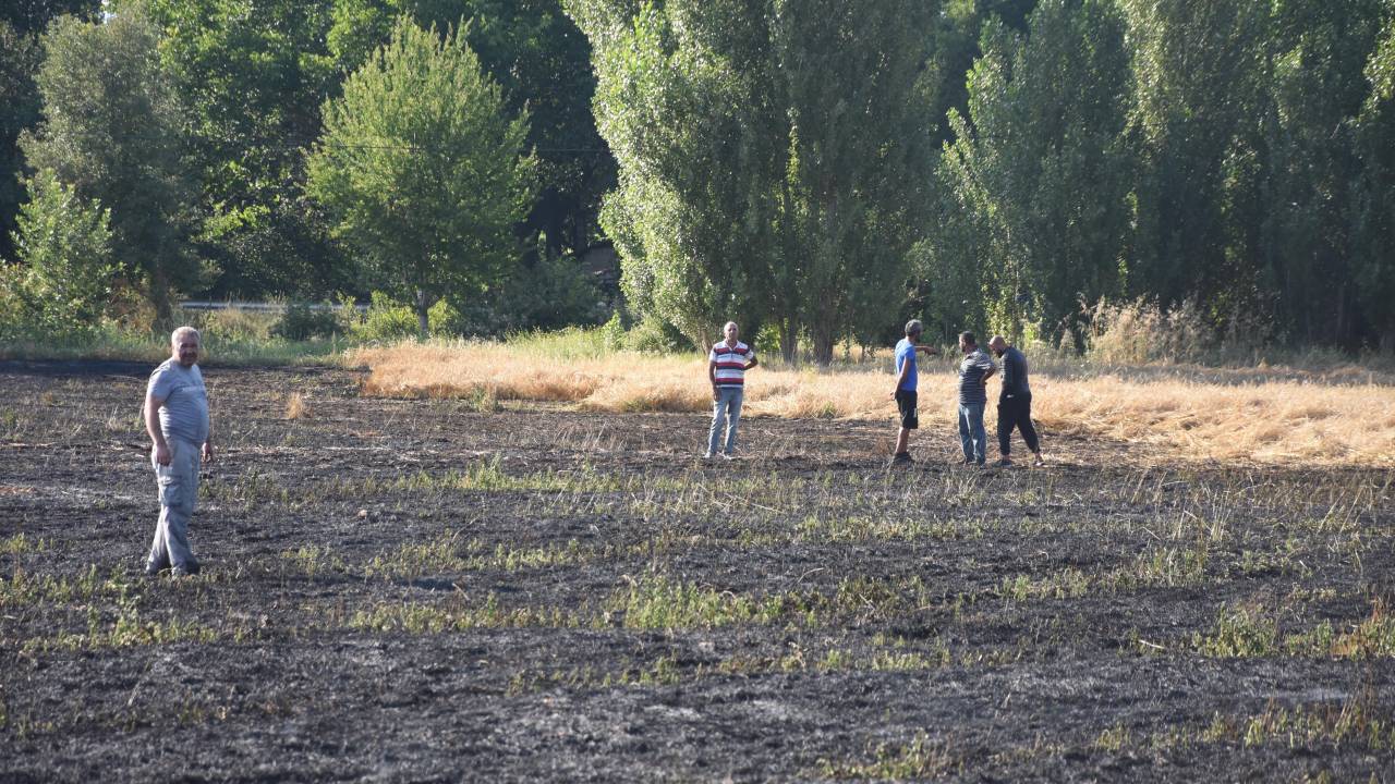 30 Dakikada Söndürülen Yangında 40 Dönüm Arpa Ekili Tarla Kül Oldu