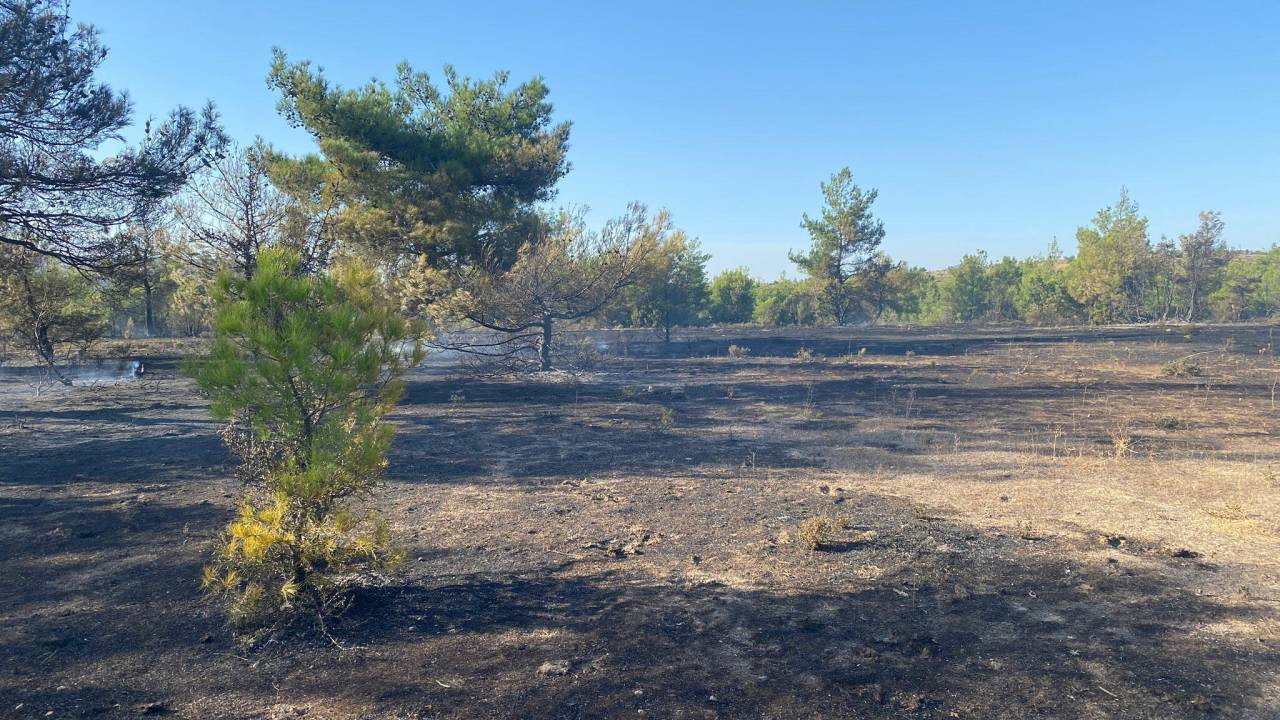 Manisa'da Orman Yangını (2)