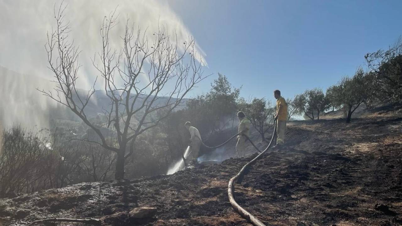 Salihli'de Çıkan Orman Yangını Kontrol Altına Alındı