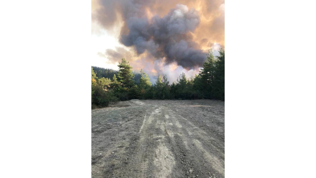 Orhaneli'de Orman Yangını