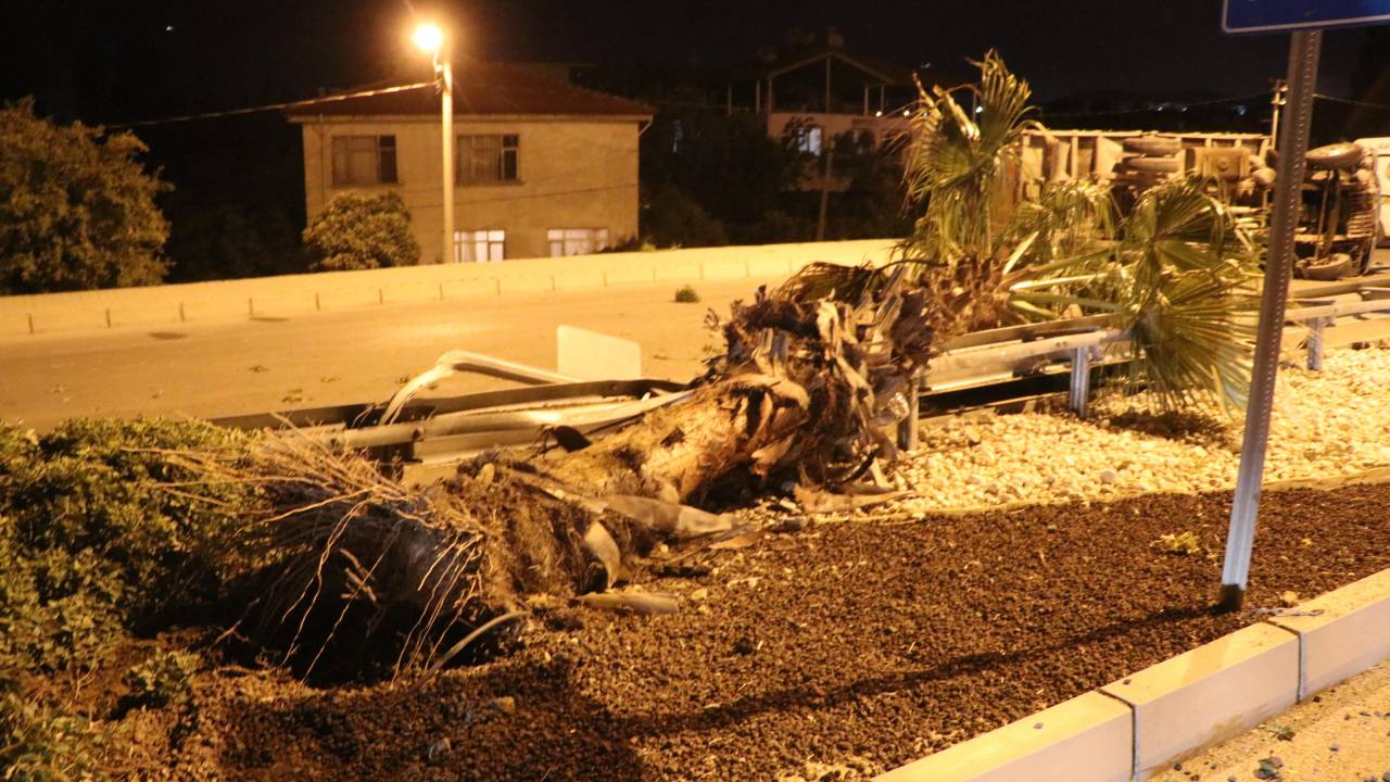 Refüjdeki Palmiye Ağacına Çarpan Kamyonetin Sürücüsü Öldü