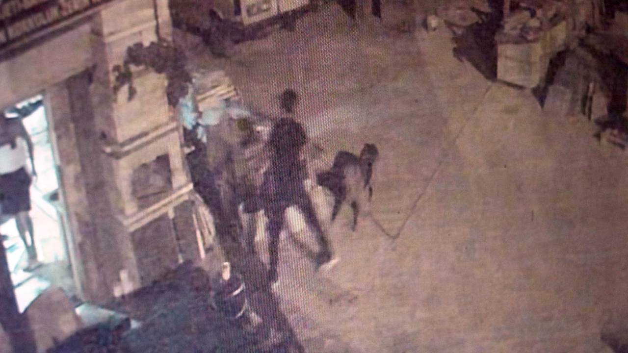 Tartıştığı Arkadaşının Adını Taşıyan Köpeği Tabancayla Öldüren Şüpheli Tutuklandı