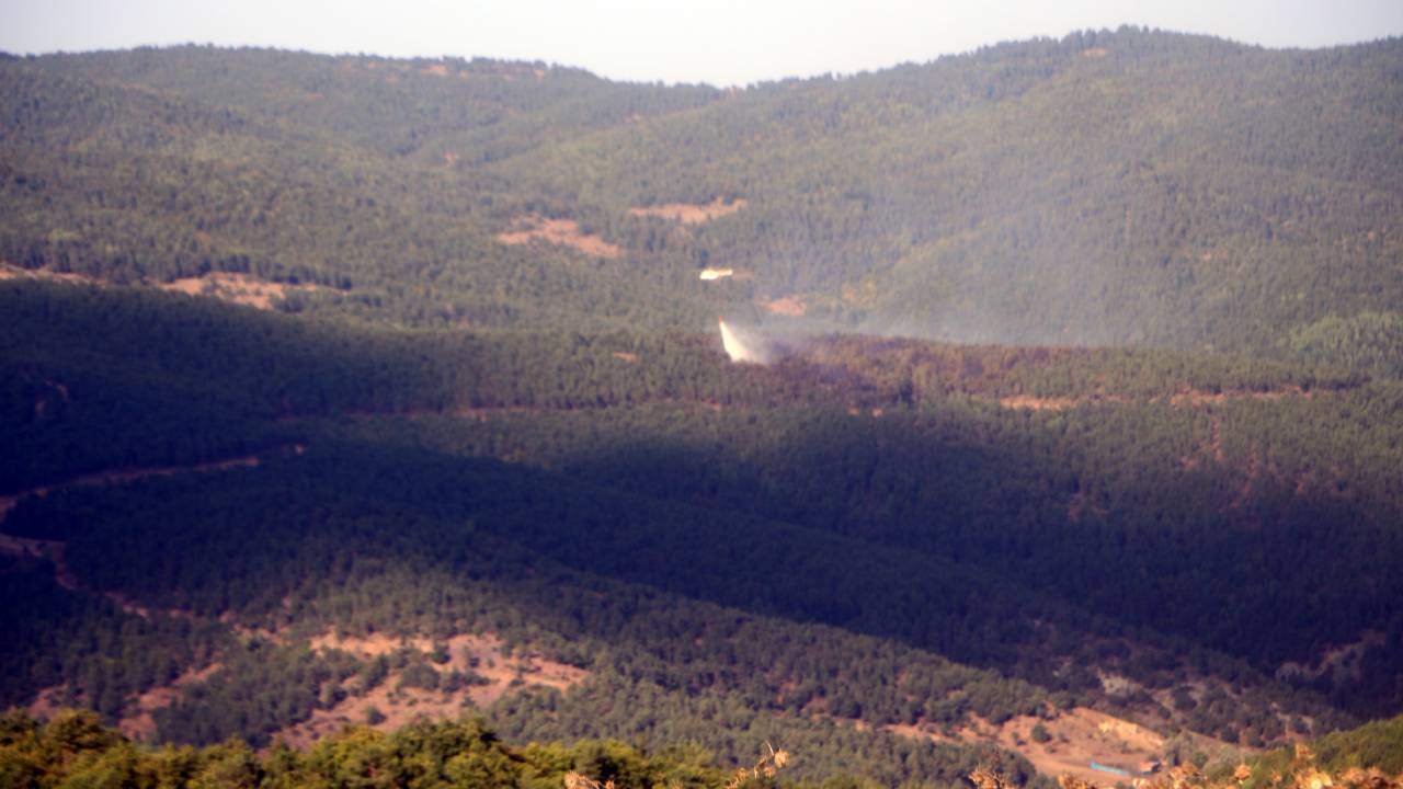 Tokat Orman Yangını (1)