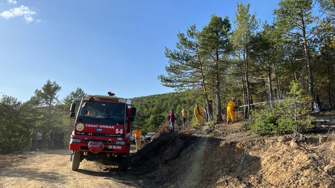 Tokat Orman Yangını (2)