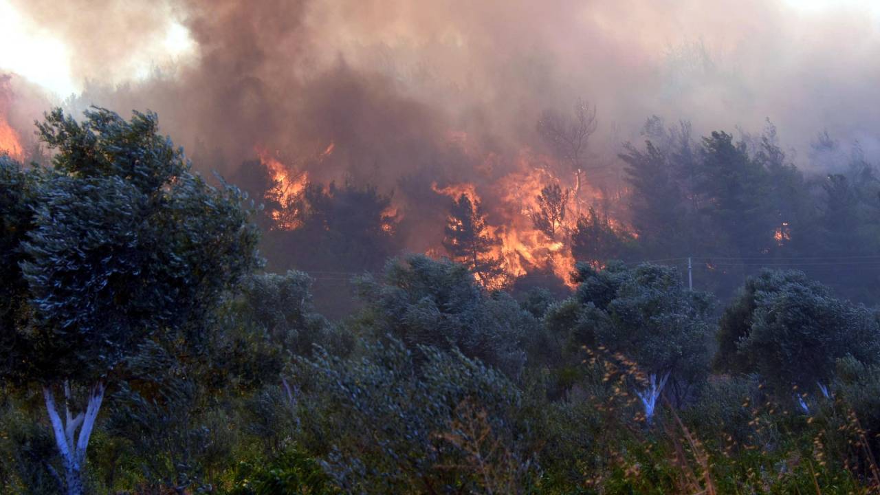 Orman Yangını Çıkardığı Gerekçesiyle 5 Yıl Hapis Cezası Alan Sanık İstinafta Beraat Etti