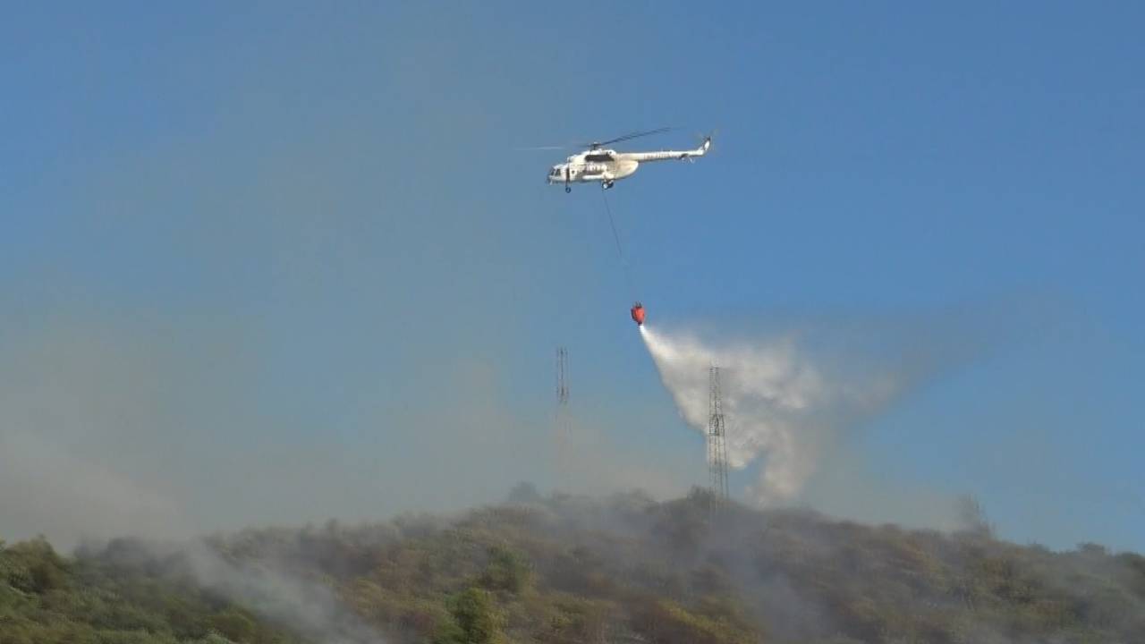 Bursa'da Orman Yangını; 1 Saatte Kontrol Altına Alındı