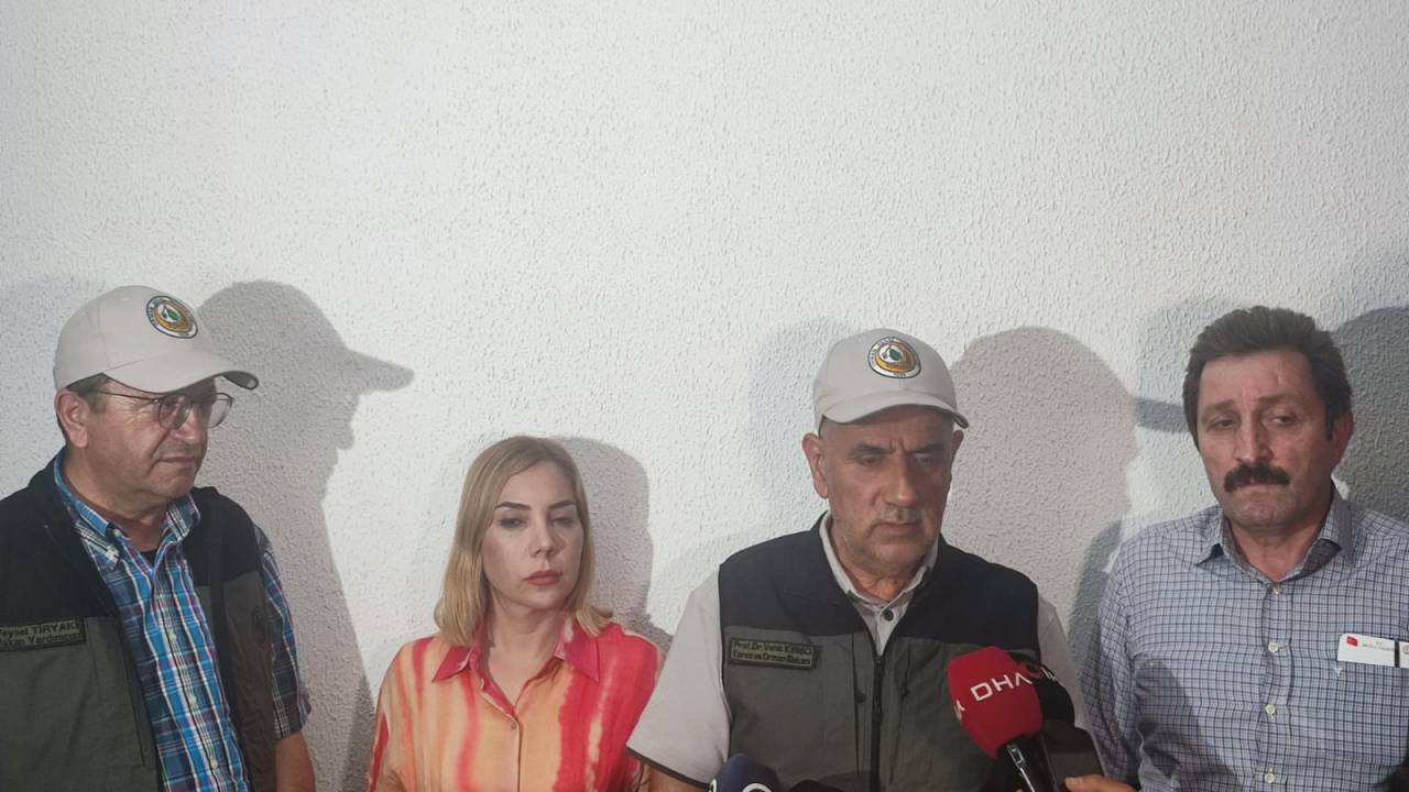 Datça'da Orman Yangını (11)